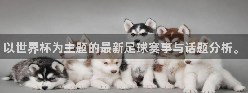 2026足球世界杯赛程时间表：以世界杯为主题的最新足球赛事与话题分析。