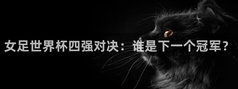 世界杯 赛程:女足世界杯四强对决:谁是下一个冠军?