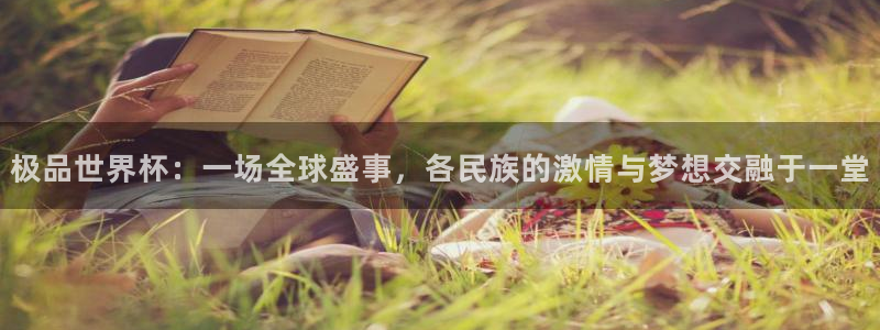 男足世界杯预选赛赛程：极品世界杯：一场全球盛事，各民族的激情与梦想交融于一堂