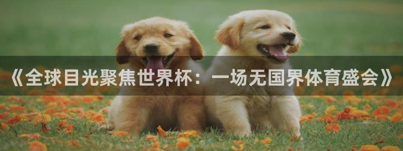 2026男足世界杯赛程：《全球目光聚焦世界杯：一场无国界体育盛会》