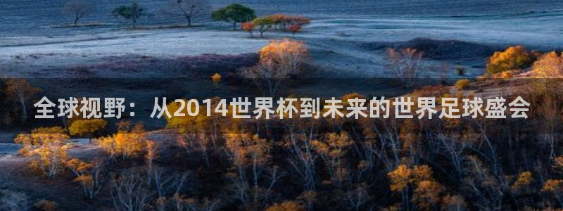 女足世界杯直播在线观看免费高清：全球视野：从2014世界杯到未来的世界足球盛会