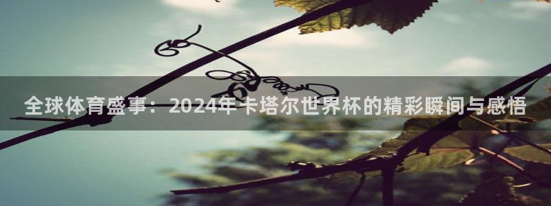 世界杯预选赛排名：全球体育盛事：2024年卡塔尔世界杯的精彩瞬间与感悟