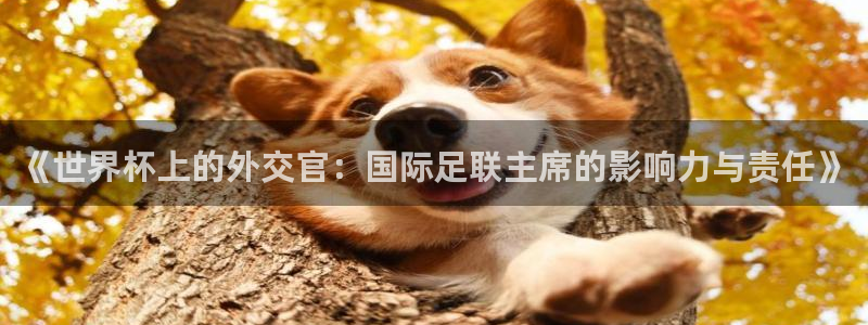 世界杯预选赛亚洲：《世界杯上的外交官：国际足联主席的影响力与责任》