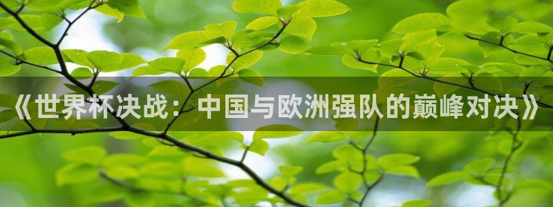 2026葡萄牙杯赛程表：《世界杯决战：中国与欧洲强队的巅峰对决》