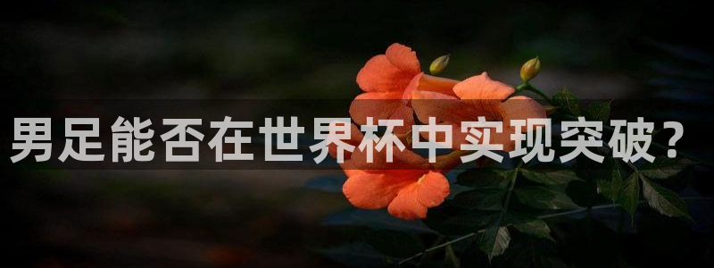 2026足球世界杯赛程时间表：男足能否在世界杯中实现突破？