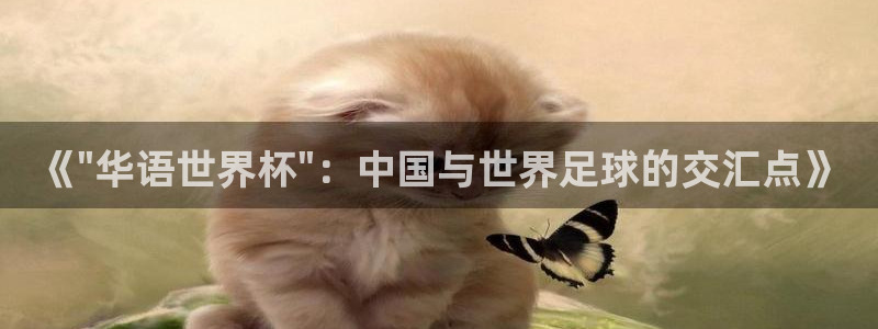 世俱杯直播：《\