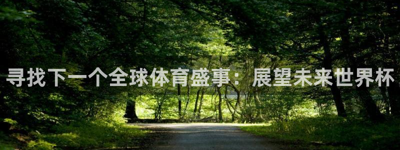 澳门世界杯直播：寻找下一个全球体育盛事：展望未来世界杯
