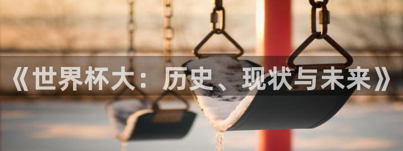 2026足球世界杯赛程时间表:《世界杯大:历史、现状与未来》