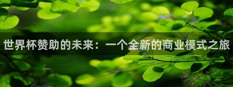 欧洲世界杯预选赛:世界杯赞助的未来:一个全新的商业模式之旅