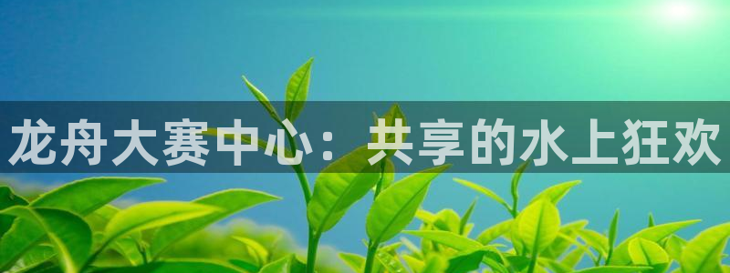 世界杯比赛：龙舟大赛中心：共享的水上狂欢