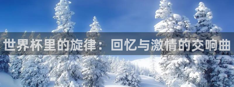 世界杯 赛程：世界杯里的旋律：回忆与激情的交响曲